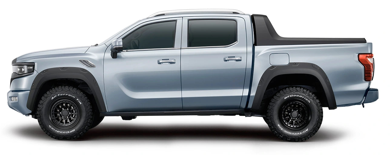 25 Foton MS3