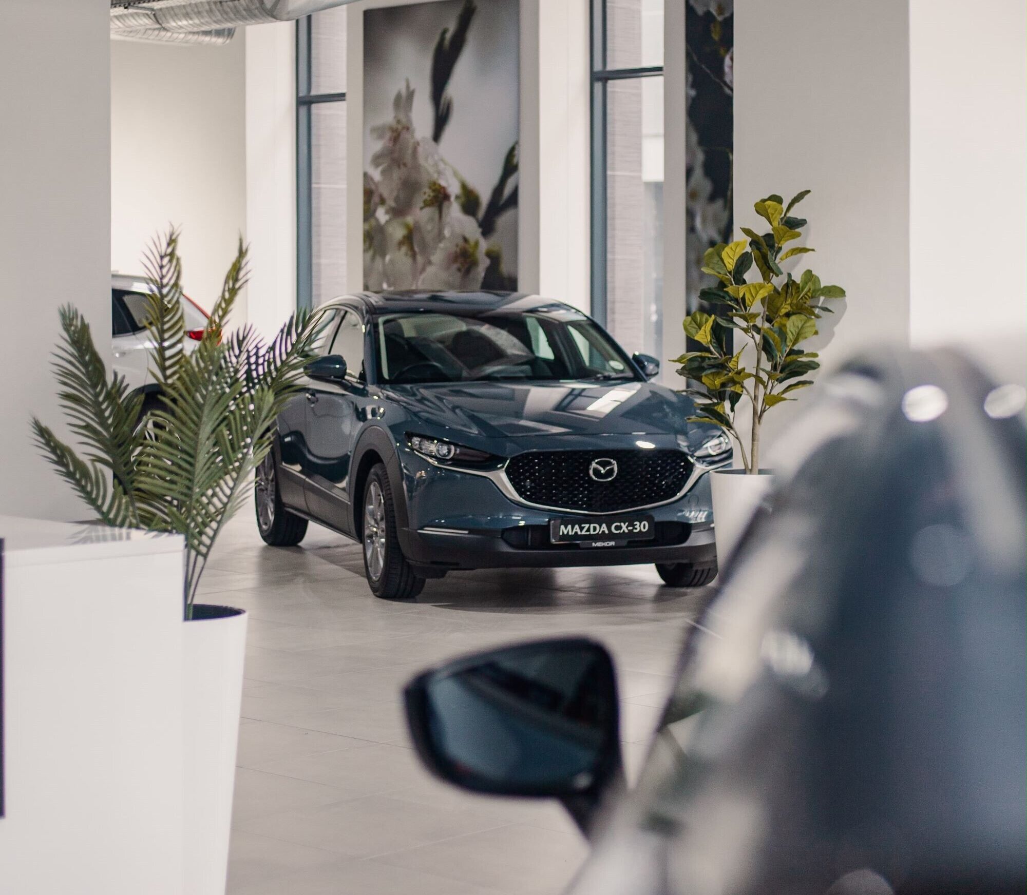 26 Mazda Danie Mekor6