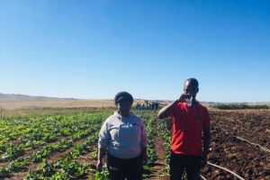 WSU Greenfields Farming Project organic farming 2 1800x1800