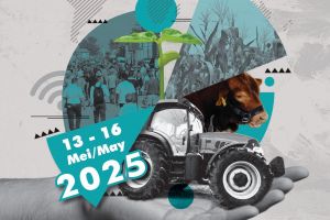 25 Nampo1
