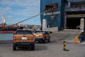 25naamsa Exports1