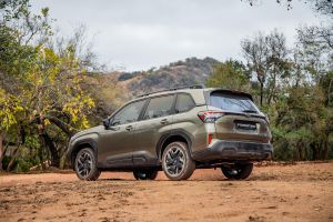25 Forester1