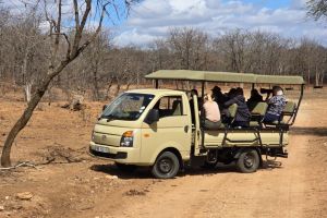 Game-drives on Hyundai’s H100