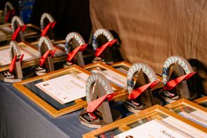 26 Naamsa Winners1